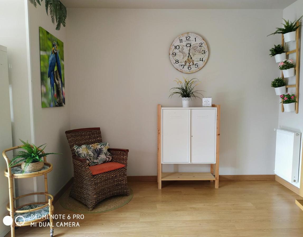 Bermeo Y Urdaibai - Parking-Ascensor - Wifi - Tranquilo Διαμέρισμα Εξωτερικό φωτογραφία
